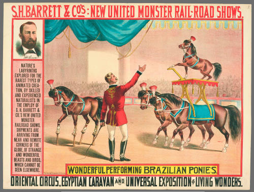 S.H. Barrett & Co: Wonderful Performing Brazilian Ponies