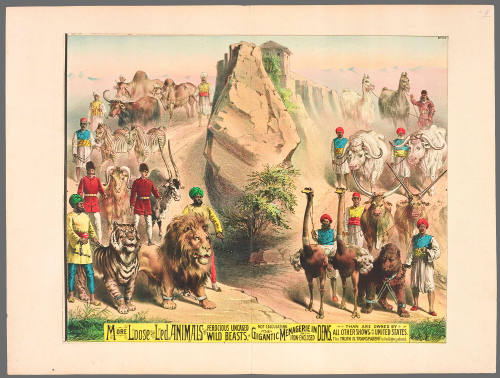 More Loose and Led Animals and Ferocious Uncaged Wild Beasts