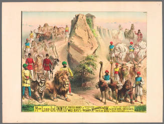 More Loose and Led Animals and Ferocious Uncaged Wild Beasts