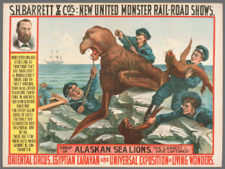 S.H. Barrett & Co: Group of Alaskan Sea Lions