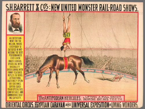 S.H. Barrett & Co: The Antipodean Hercules, Lifting a Full Grown Horse by His Teeth