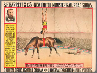 S.H. Barrett & Co: The Antipodean Hercules, Lifting a Full Grown Horse by His Teeth