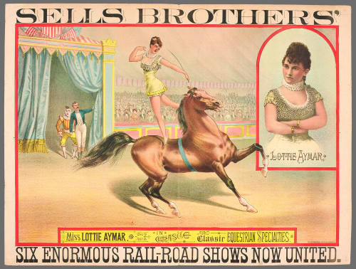 Sells Brothers': Miss Lottie Aymar, in Chaste and Classic Equestrian Specialties