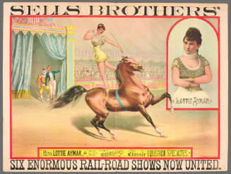 Sells Brothers': Miss Lottie Aymar, in Chaste and Classic Equestrian Specialties