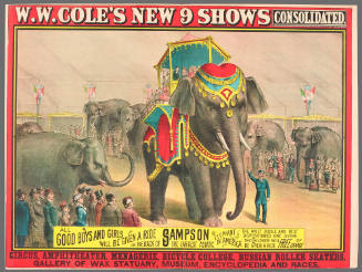 W.W. Cole's New 9 Shows Consolidated: All Good Boys and Girls Will be Given a Ride on the Back of Sampson the Largest Asiatic Elephant in America
