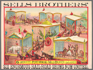Sells Brothers': 6 Open Dens of Performing Wild Beasts and Crocodiles