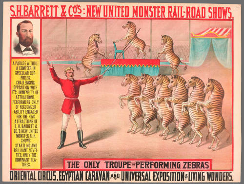S.H. Barrett & Co: The Only Troupe of Performing Zebras
