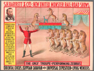 S.H. Barrett & Co: The Only Troupe of Performing Zebras