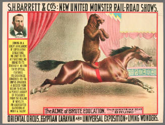 S.H. Barrett & Co: The Acme of Brute Education. The Equestrian Bear "Bruno"