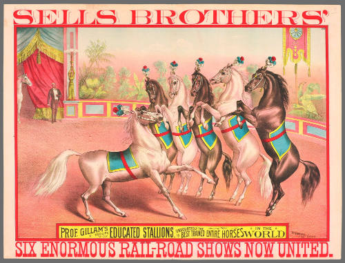 Sells Brothers': Prof. Gillam's Troupe of Educated Stallions