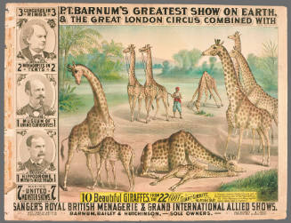 P.T. Barnum's Greatest Show on Earth & The Great London Circus: 10 Beautiful Giraffes.