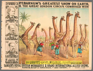 P.T. Barnum's Greatest Show on Earth & The Great London Circus: 10 Giraffes of All Sizes and Both Sexes.