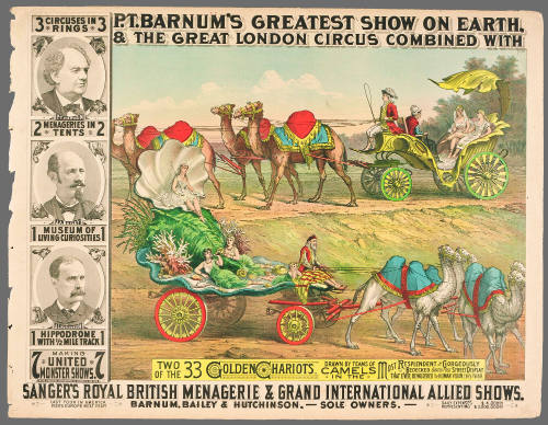 P.T. Barnum's Greatest Show on Earth & The Great London Circus: Two of the 33 Golden Chariots, Drawn by Teams of Camels