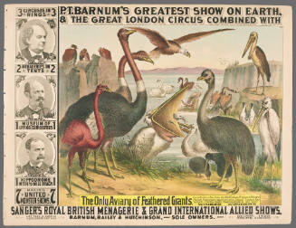 P.T. Barnum's Greatest Show on Earth & The Great London Circus:: The Only Aviary of Feathered Giants
