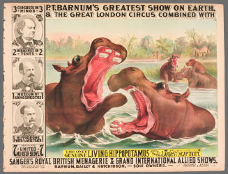 P.T. Barnum's Greatest Show on Earth & The Great London Circus: The Only Genuine Living Hippopotamus from the White Nile