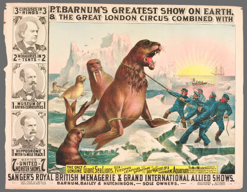 P.T. Barnum's Greatest Show on Earth & The Great London Circus: The Only Genuine Giant Sea Lions