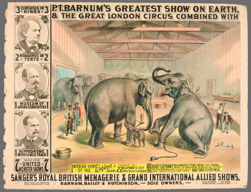 P.T. Barnum's Greatest Show on Earth & The Great London Circus: Interior View of the Elephant Building Containing the 22 Elephants at Our Winter Quarters in Bridgeport