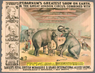 P.T. Barnum's Greatest Show on Earth & The Great London Circus: Interior View of the Elephant Building Containing the 22 Elephants at Our Winter Quarters in Bridgeport