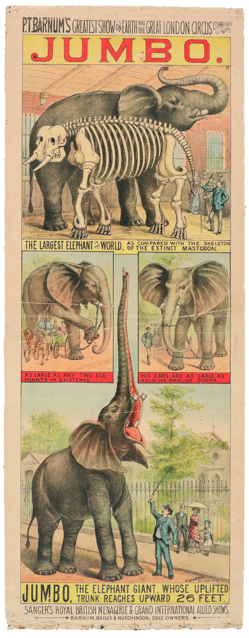 P.T. Barnum's Greatest Show on Earth & The Great London Circus: Jumbo