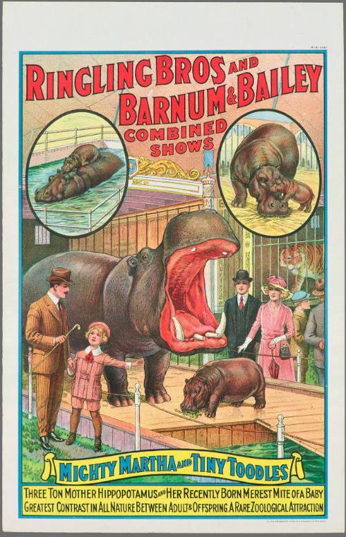 Ringling Bros and Barnum & Bailey Combined Shows: Mighty Martha and Tiny Toddles
