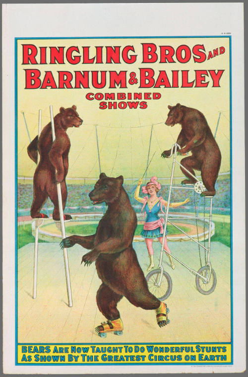 Ringling Bros and Barnum & Bailey Combined Shows: Bears Are Now Taught to Do Wonderful Stunts as Shown by the Greatest Circus on Earth