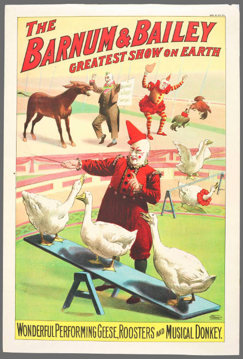 The Barnum & Bailey Greatest Show on Earth: Wonderful Perfomring Geese, Roosters and Musical Donkey