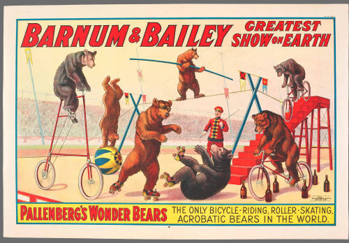 The Barnum & Bailey Greatest Show on Earth: Pallenberg's Wonder Bears