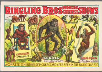 Ringling Bros: A Complete Exhibition of Monkeys and Apes in the Big 100 Cage Zoo
