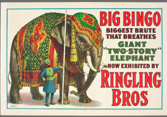 Ringling Bros: Big Bingo