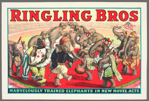 Ringling Bros: Marvelously Trained Elephants in New Novel Acts