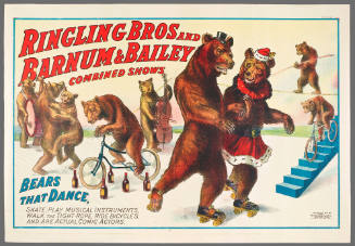 Ringling Bros and Barnum & Bailey Combined Shows:  Bears That Dance