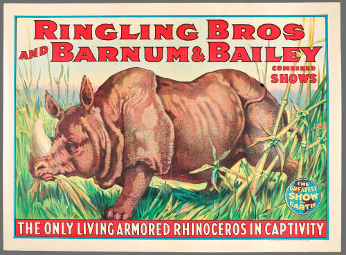 Ringling Bros and Barnum & Bailey: The Only Living Rhinoceros in Captivity