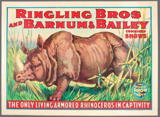 Ringling Bros and Barnum & Bailey: The Only Living Rhinoceros in Captivity