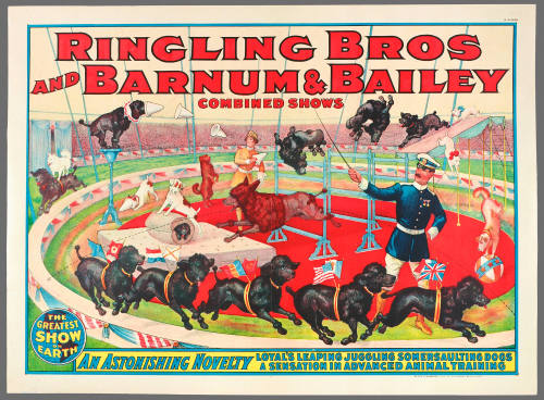 Ringling Bros and Barnum & Bailey: Loyal's Leaping Juggling Somersaulting Dogs