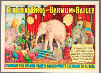 Ringling Bros and Barnum & Bailey: Pawah the World-Famed Sacred White Elephant of Burma