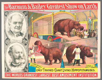 The Barnum & Bailey Greatest Show on Earth: Only Trained Giant Living Hippopotamuses.