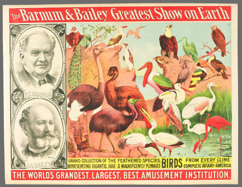 The Barnum & Bailey Greatest Show on Earth: Grand Collection of the Feathered Species