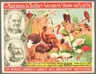 The Barnum & Bailey Greatest Show on Earth: Grand Collection of the Feathered Species