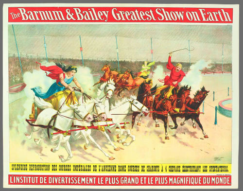The Barnum & Bailey Greatest Show on Earth: Splendide Reproduction Des Courses Impériales De L'ancienne Rome Courses De Chariots À 4 Chevaux Électrifiant Les Spectateurs