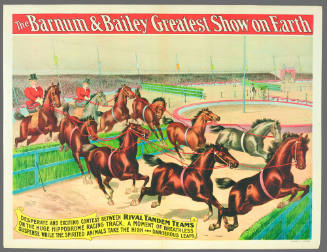 The Barnum & Bailey Greatest Show on Earth: Desperate and Exciting Contest Between Rival Tandem Teams on the Huge Hippodrome Racing Track