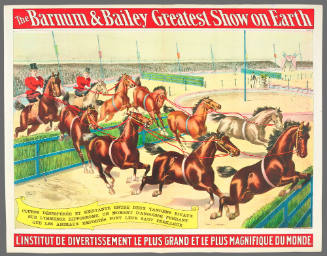 The Barnum & Bailey Greatest Show on Earth: Course Désespérée Et Éxcitante Entre Deux Tandems Rivaux Sur L'immense Hippodrome