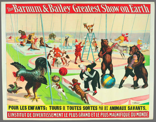 The Barnum & Bailey Greatest Show on Earth: Pour Les Enfants: Tours De Toutes Sortes Par Des Animaux Savants
