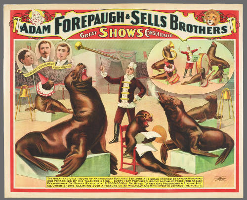 Forepaugh & Sells Brothers Great Shows Consolidated: The Great and Only Troupe of Marvelously Educated Sea Lions and Seals Trained by Captain Woodward and Performed by His Talented Sons.