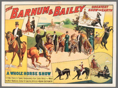 The Barnum & Bailey Greatest Show on Earth: A Whole Horse Show