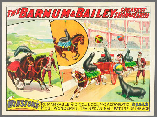 The Barnum & Bailey Greatest Show on Earth: Winston's Remarkable Riding, Juggling, Acrobatic Seals