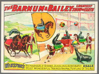 The Barnum & Bailey Greatest Show on Earth: Winston's Remarkable Riding, Juggling, Acrobatic Seals