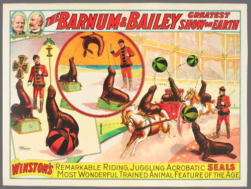 The Barnum & Bailey Greatest Show on Earth: Winston's Remarkable Riding, Juggling, Acrobatic Seals