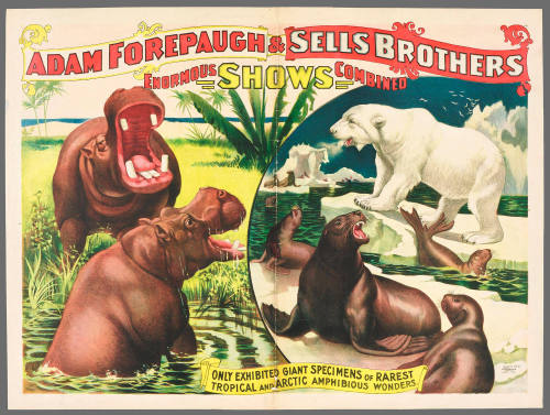 Adam Forepaugh & Sells Brothers Enormous Shows Combined: Only Exhibited Giant Specimens of Rarest Tropical and Arctic Amphibious Wonders