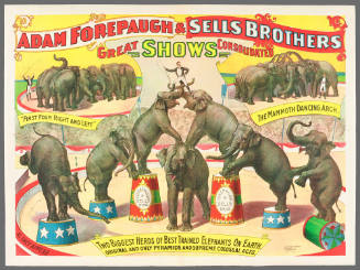 Adam Forepaugh & Sells Brothers Enormous Shows Combined: Two Biggest Herds of Best Trained Elephants on Earth