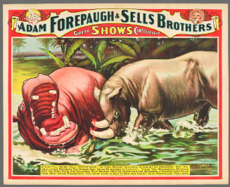Forepaugh & Sells Brothers Great Shows Consolidated: A Huge Full Grown Male Hippopotamus, the Only Mature Specimen on Exhibition Anywhere, and the Only Living Mammoth Two Horned East Indian Rhinoceros in Captivity